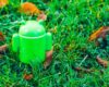 Advanced Protection Android 2026: Cara Aktifkan Mode Keamanan Ekstra untuk Pengguna Berisiko Tinggi
